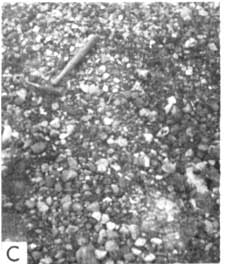 Black and white photo of pebbles and cobbles; rock hammer for scale.