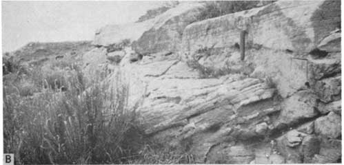 Black and white photo of blocky sandstone in outcrop.