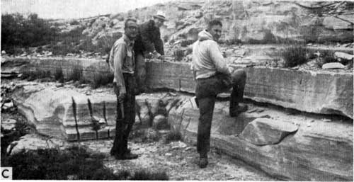 Black and white photo; two squared-off beds, each 1 foot to 2 feet thick; eveidence of hand-quarrying; three men looking at outcrop.