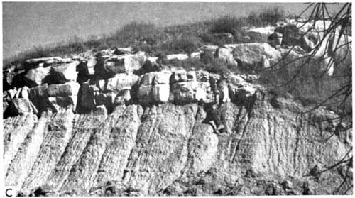 Black and white photo of roadcut; upper limestone is massive, lower shale is much softer and eroded; both are light in color.