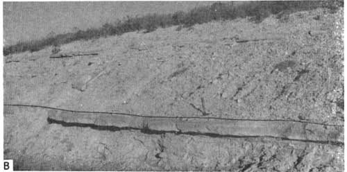 Black and white photo of roadcut; lower limestone is foot-thick highly-resistent bed.