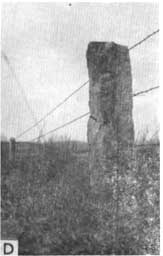 Black and white photo of fencepost and barbwire.