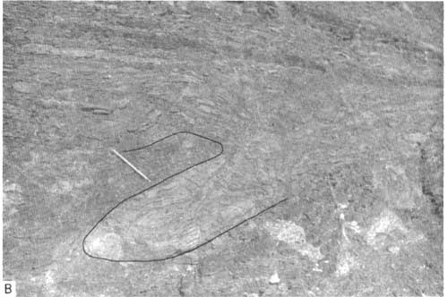 Black and white photo of outcrop with slump structure preserved.