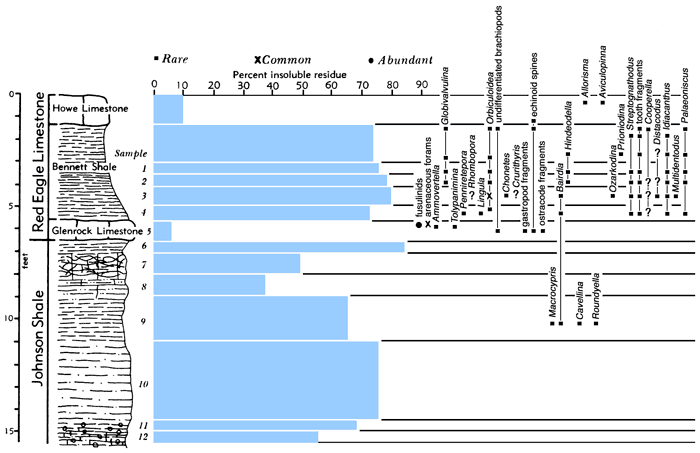 section, bar chart of residues, and fossil listing.