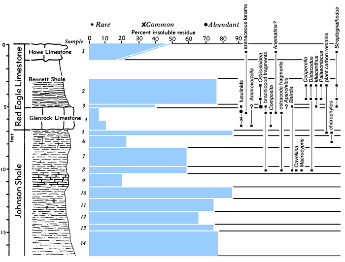 section, bar chart of residues, and fossil listing.