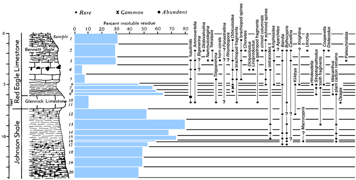 section, bar chart of residues, and fossil listing.