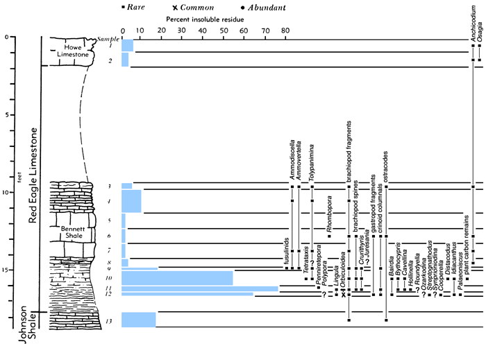 section, bar chart of residues, and fossil listing.