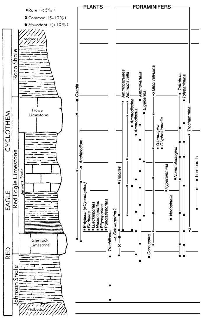 location of plants and foraminifers in Red Eagle cyclothem.