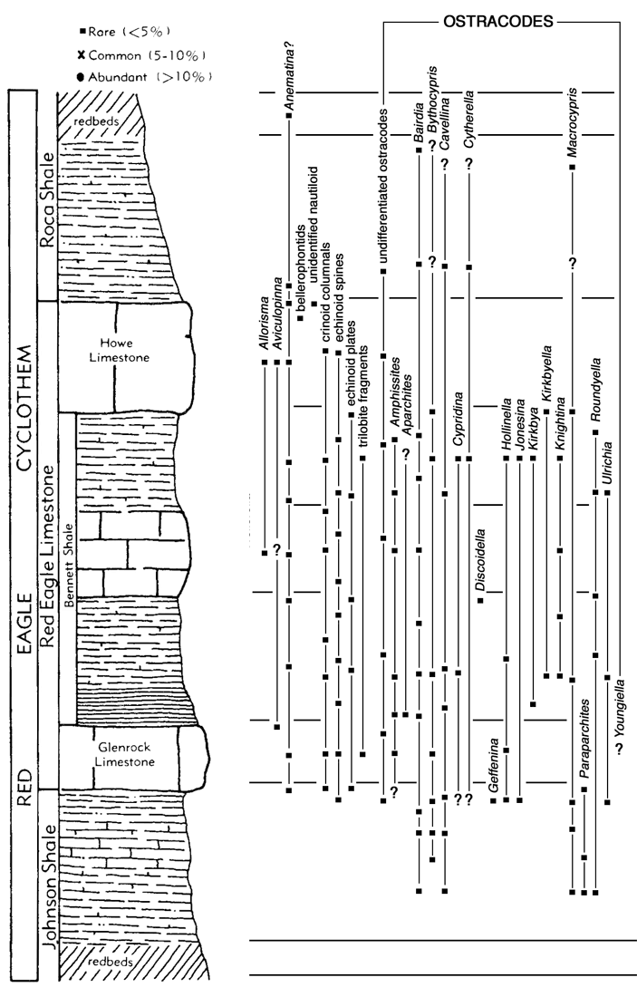 location of ostracodes, echinoids, and others in Red Eagle cyclothem.