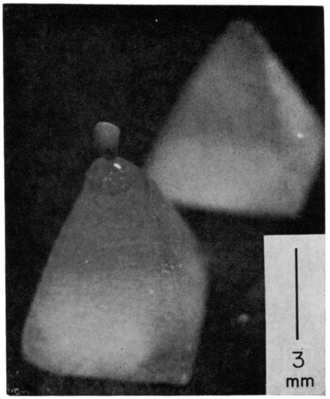 An epoxy pyramid mount for a small specimen. The pyramid is approximately 5 x 6 mm at the base and 8 mm in height.