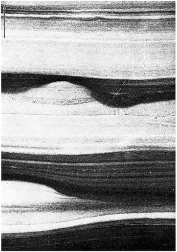black and white photo of polished core