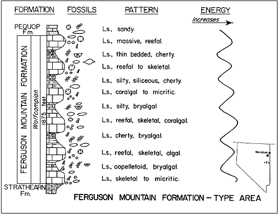 figure includes a strat column, fossil indicators, a description of the pattern, and an energy schematic