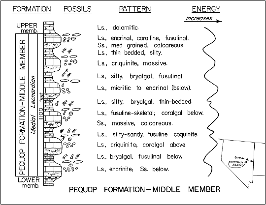 figure includes a strat column, fossil indicators, a description of the pattern, and an energy schematic