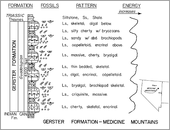 figure includes a strat column, fossil indicators, a description of the pattern, and an energy schematic
