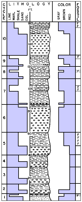 10-cycle section displayed as lithology bar chart, graphical section, color bar chart, and fossil indicator