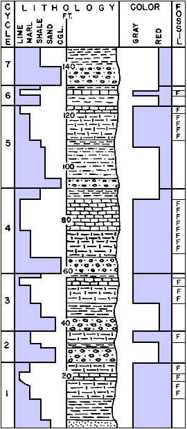 7-cycle section displayed as lithology bar chart, graphical section, color bar chart, and fossil indicator