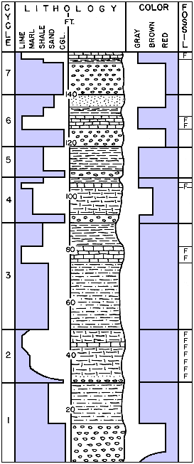 7-cycle section displayed as lithology bar chart, graphical section, color bar chart, and fossil indicator