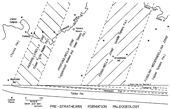 area divided into 5 zones from west to east, correlated with cross section