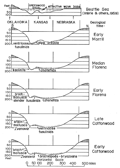 6 cross sections from 5 time stages of Beattie transgression, labeled with fossils