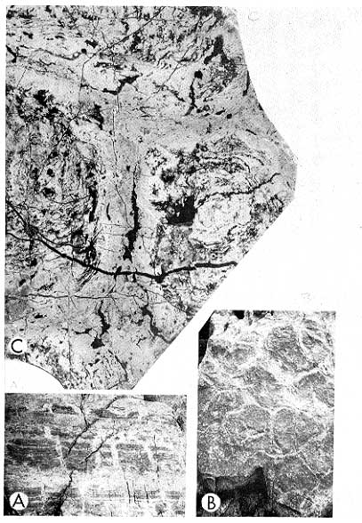 Three black and white photos, features described in caption. Scanned at same scale as in book.