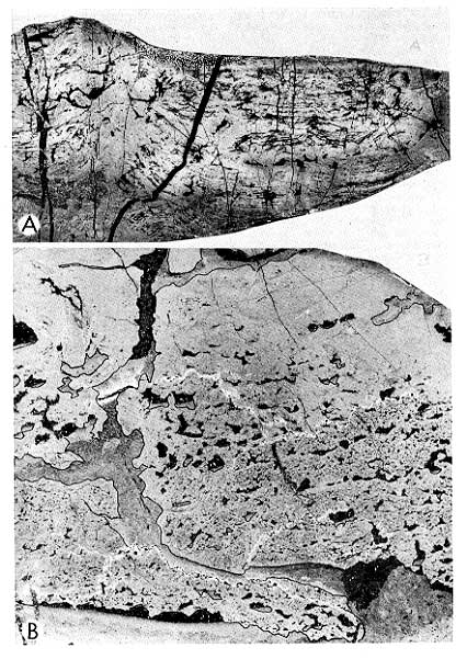 Two black and white negative prints, features described in caption. Scanned at same scale as in book.