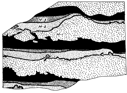 Black and white drawing illustrating features show in fig. 17.