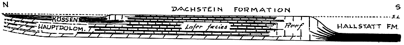Cross section; Hallstatt Fm to south separated by reef from Lofer Facies. Dachstein Fm above.