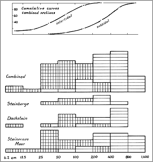 bar charts for the sections studied.