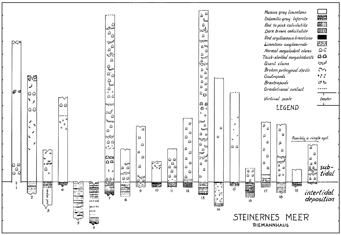 Section split into 19-20 cyclothems.