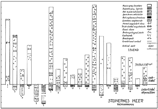 Section split into 19-20 cyclothems.