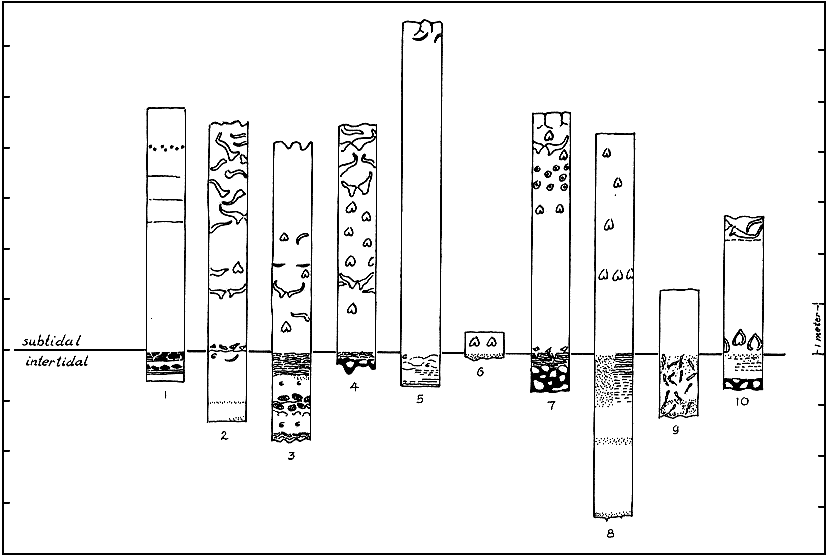 Section measured on Dachstein split into 10 cyclothems.