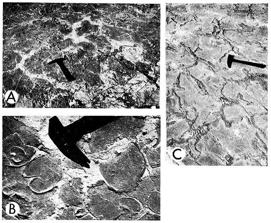 Three black and white photos, features described in caption. Photo B covers area of 6-7 feet across, B is a close up of about a foot square, and C is the same size as A.
