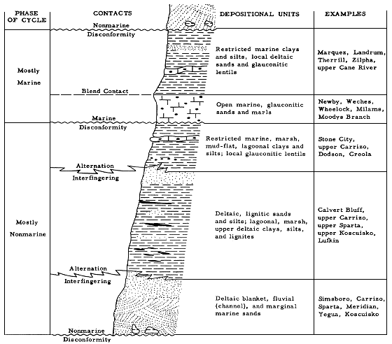 typical cycle shown with phase of cycle, type of contacts, depositional units, and examples