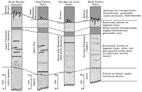 Four units compared from Louisiana and Texas