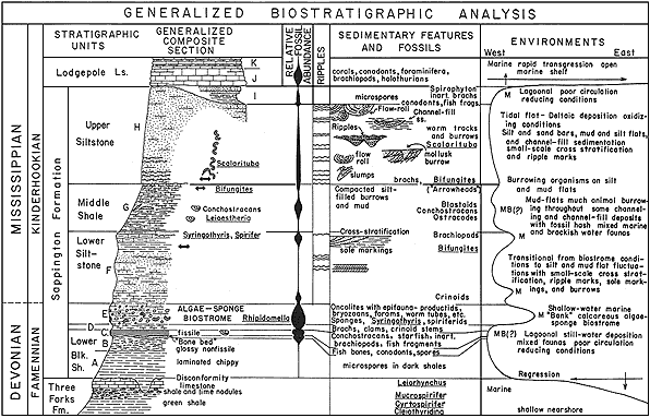 Figure compares stratigraphic section with fossils, sedimentary features, and environment