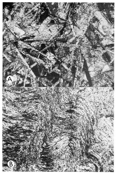 two black and white photomicrographs