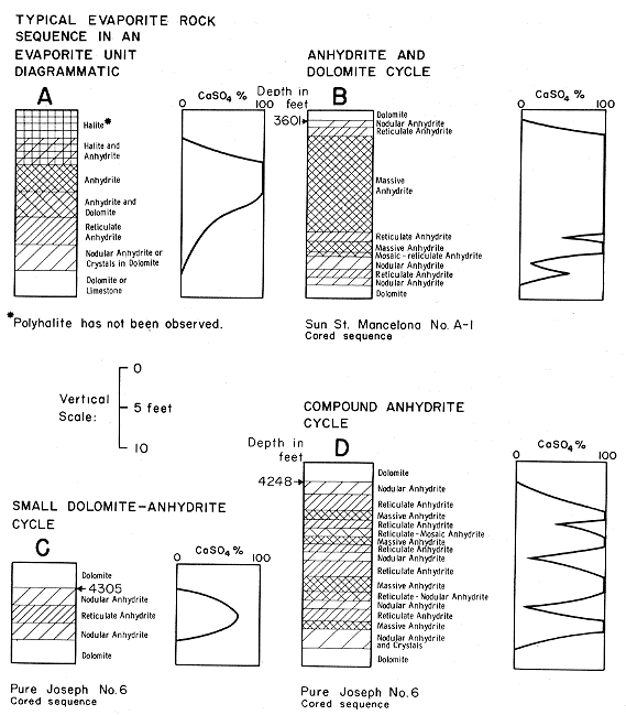 four cycles in Lucas Formation