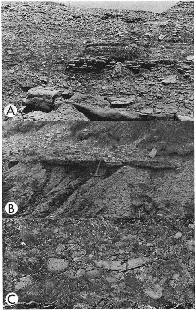 Three black and white photos. Topp two show 5-7 feet of outcrop; lower is closeup