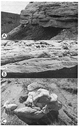 Three black and white photos. Top shows 1-foot-thick Greenhorn below shales; middle shows cross bedding (scale 2-3 inches); bottom shows concretion, 2-3 foot in size