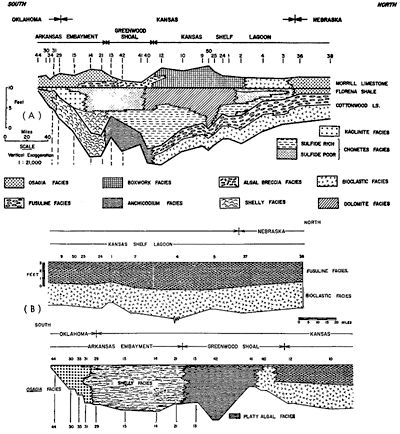 Morrill thickest in Wabaunsee and Chase counties, also in Cowley and south into Oklahoma; Cottonwood changes from Fusuline and Bioclastic facies in Kansas to Platy Algal and Shelly in southern Kansas, Osagia in Oklahoma.