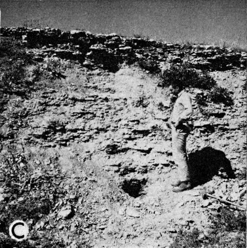 black and white photo, researcher standing near small trench