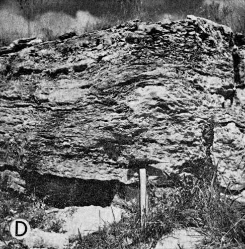 black and white photo, outcrop 2-3 feet thick