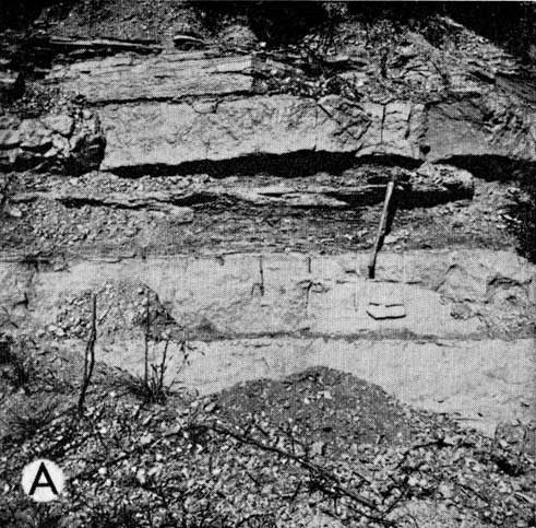 black and white photo, blocky limestone brackets shale