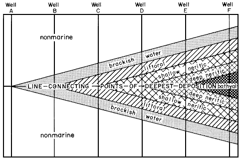 Hypothetical set of 6 wells showing transition from brackish water to bathyal deposition