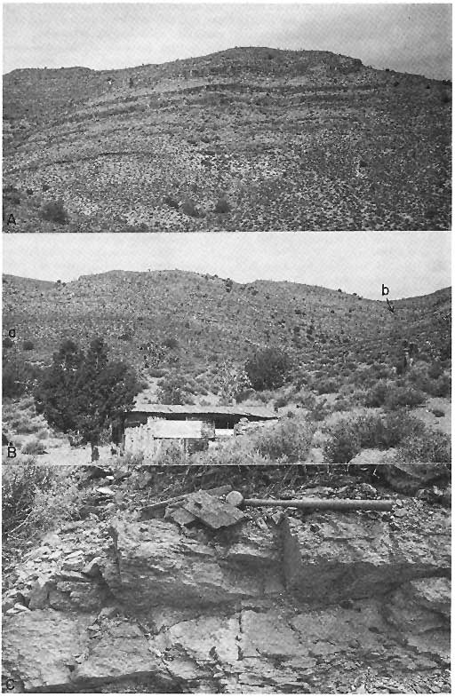 Three black and white photos.  Top two show desert hillsides with repetitive beds; bottom shows about 4 feet of outcrop--1 to 1.5 feet thick
