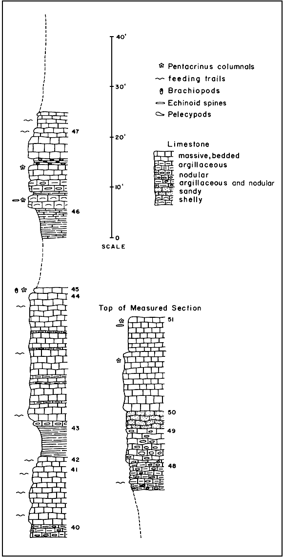 graphic sections referred to in measured section listed below