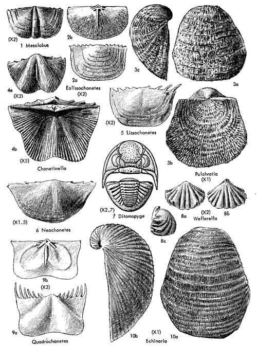 black and white drawings of several figures