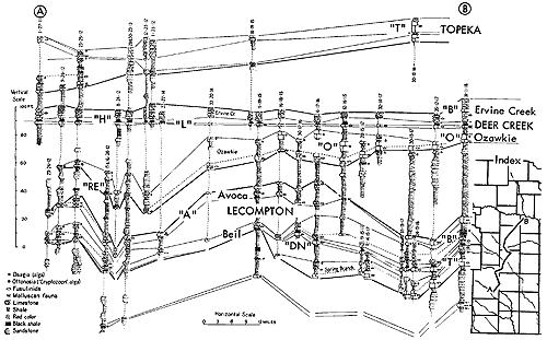 Correlated sections from Douglas to Greenwood counties; Beil, Avoca, Doniphan, Heebner, Leavenworth, Ozawkie, and Tarkio ecosystems.