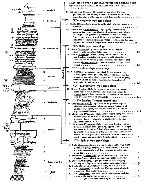 Typical section of Lawrence Sh and Oread LS; Beil, Heebner, Kereford, Leavenworth, Snyderville, and Tarkio ecosystems.