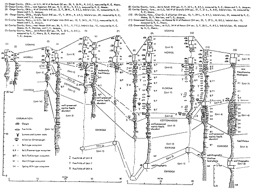 Cross section goes from Osage County, Oklahoma, to Greenwood County, Kansas.